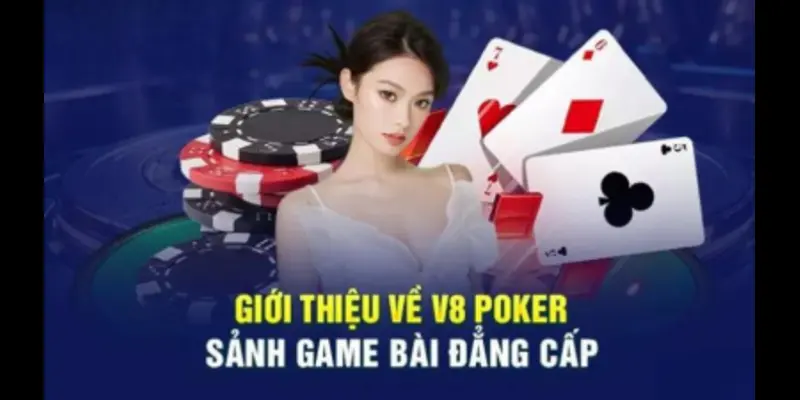 Điều khoản dịch vụ KUBET